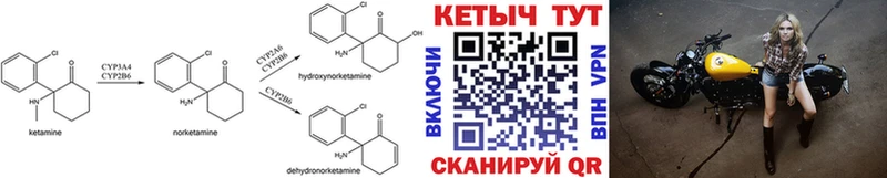 КЕТАМИН VHQ  блэк спрут ссылки  Судогда 