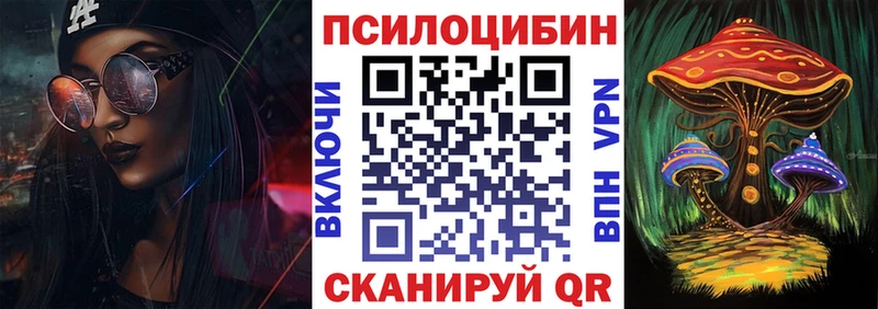 сколько стоит  OMG ТОР  Галлюциногенные грибы ЛСД  Судогда 
