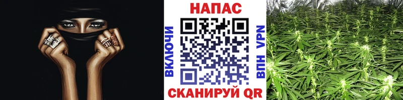 МАРИХУАНА сатива  darknet наркотические препараты  Судогда 